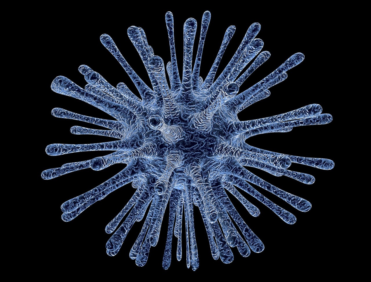 virus-infected-cells-213708_1280.jpg