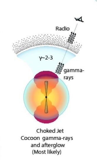 The energetic jet impacting an expanding spherical cocoon of material could successfully explain the observed radio and x ray light curves. (image credit K. P. Mooley et.al.)